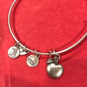 🍎 Alex & Ani Apple Bracelet